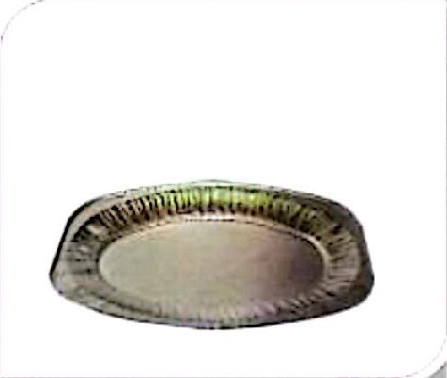 Oval Platter, 14 Inches 100 Pcs